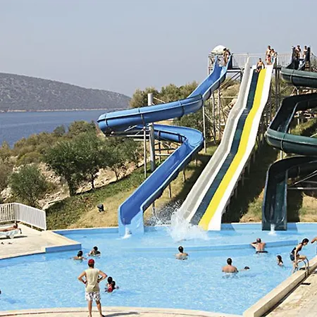 Majesty Belizia 博德鲁姆