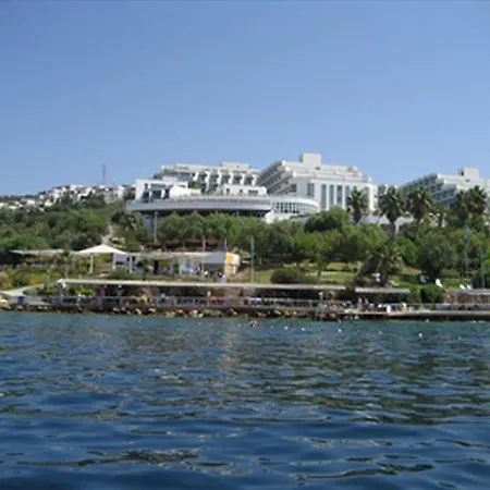 Majesty Belizia 博德鲁姆